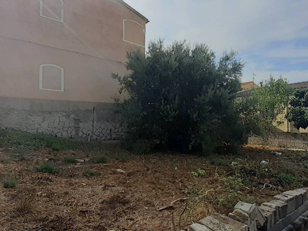 terreno agricolo in vendita ad Arzachena