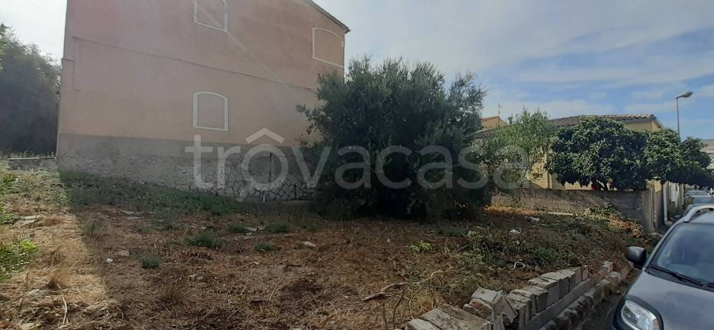 terreno agricolo in vendita ad Arzachena