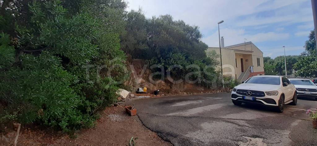terreno agricolo in vendita ad Arzachena