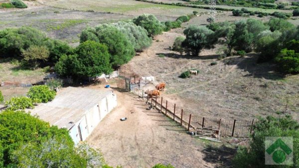 terreno agricolo in vendita ad Arzachena