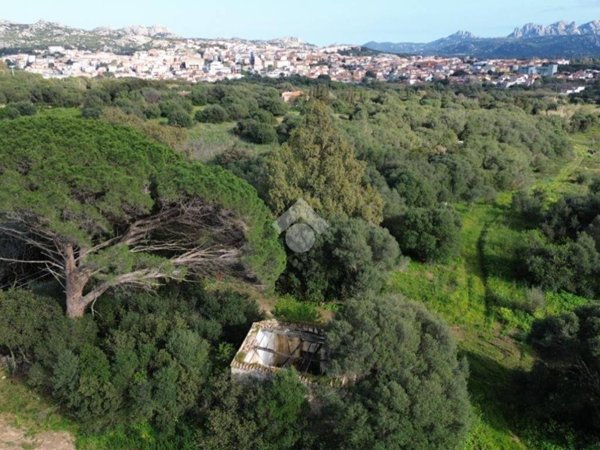 casa indipendente in vendita ad Arzachena