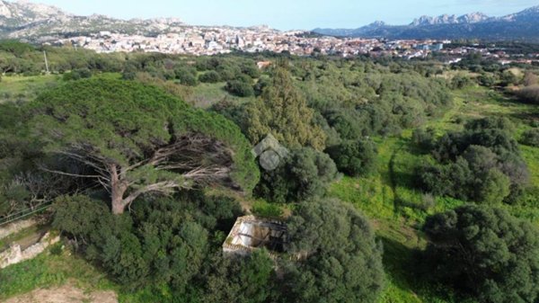 casa indipendente in vendita ad Arzachena