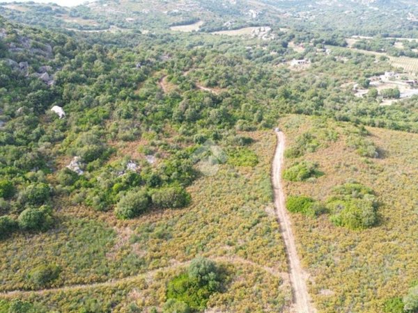 terreno agricolo in vendita ad Arzachena in zona Cannigione