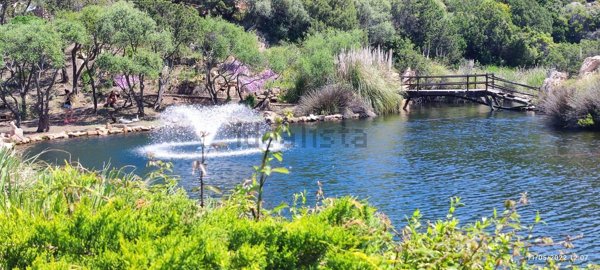 appartamento in vendita ad Arzachena in zona Porto Cervo