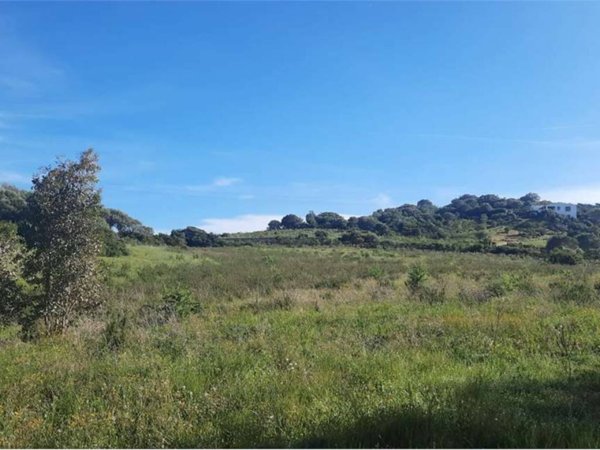 terreno agricolo in vendita ad Arzachena