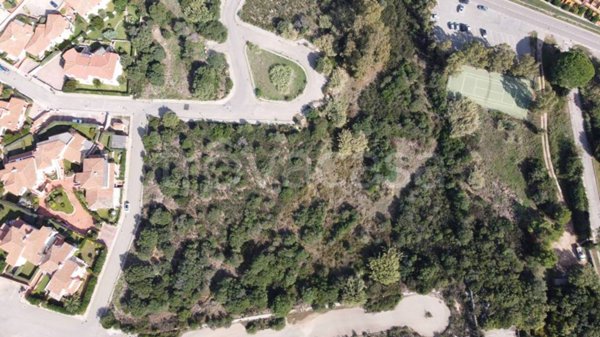 terreno agricolo in vendita ad Arzachena in zona Cannigione