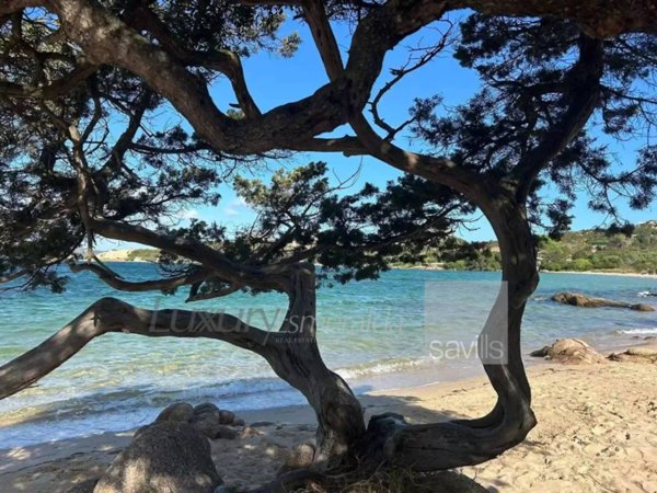 appartamento in vendita ad Arzachena in zona Baja Sardinia