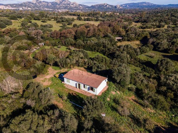 casa indipendente in vendita ad Arzachena