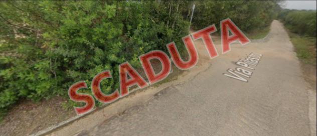 pentavano in vendita ad Arzachena