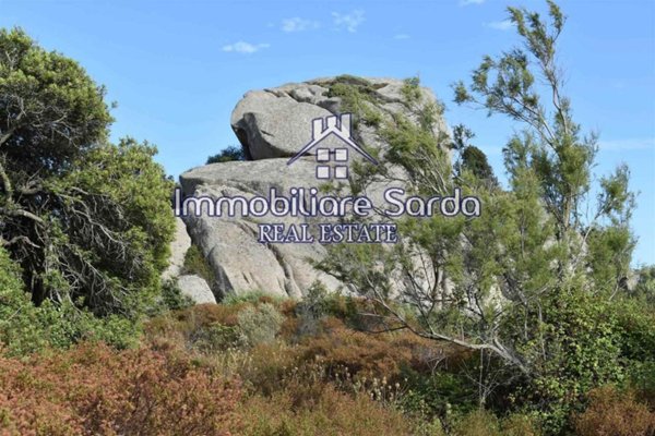 immagine annuncio 0 di 15