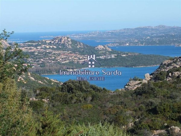 casa indipendente in vendita ad Arzachena in zona Cannigione
