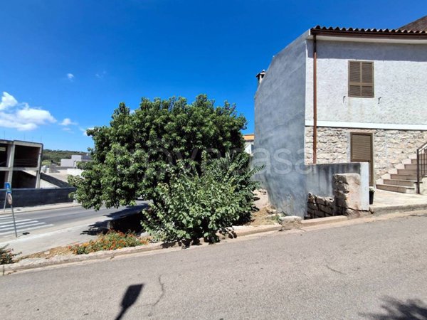 terreno agricolo in vendita ad Arzachena