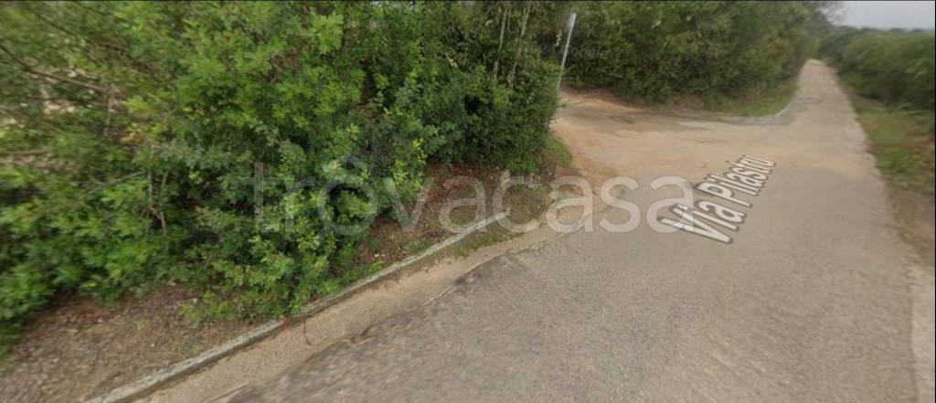 azienda agricola in vendita ad Arzachena