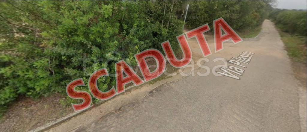 azienda agricola in vendita ad Arzachena