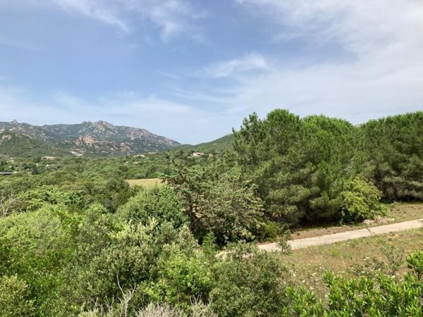 casa indipendente in vendita ad Arzachena in zona Porto Cervo