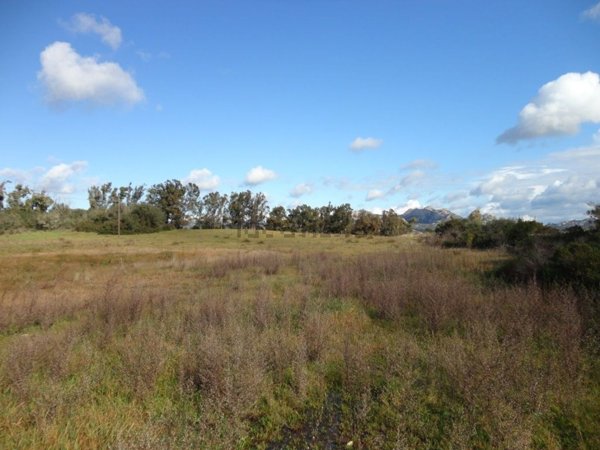 terreno agricolo in vendita ad Arzachena