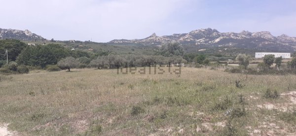 terreno agricolo in vendita ad Arzachena