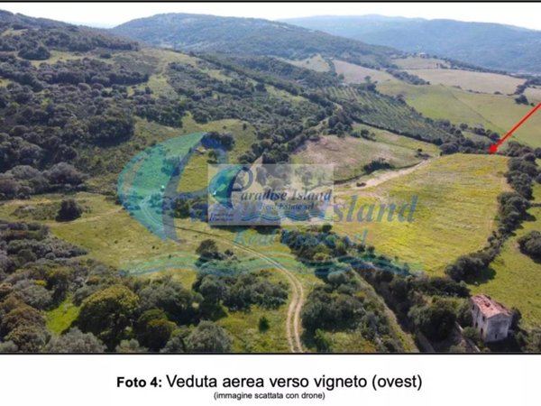 terreno agricolo in vendita ad Arzachena