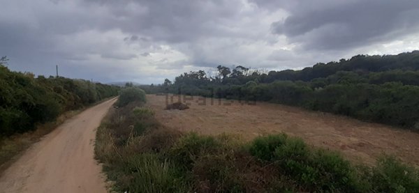 terreno agricolo in vendita ad Arzachena