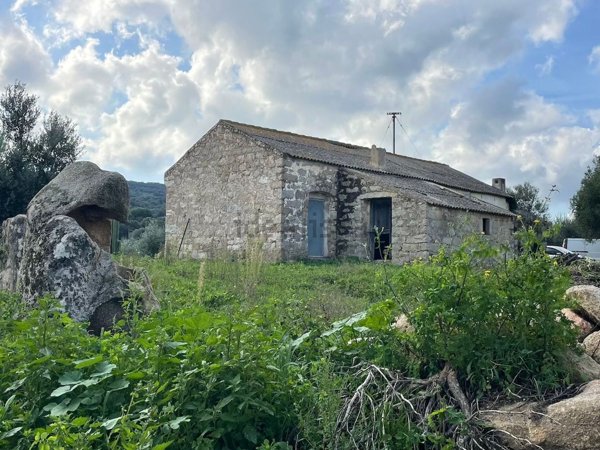 quadrivano in vendita ad Arzachena