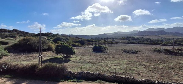 terreno agricolo in vendita ad Arzachena