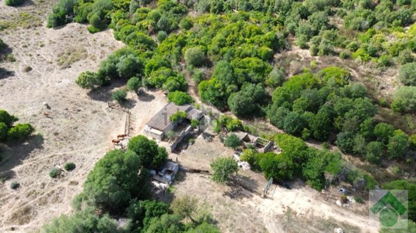 terreno agricolo in vendita ad Arzachena