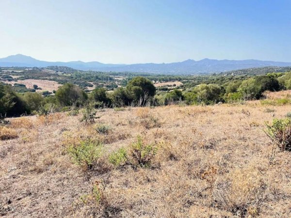 terreno in vendita ad Arzachena
