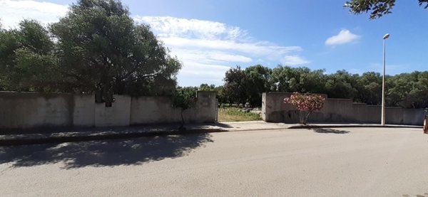 casa indipendente in vendita ad Arzachena