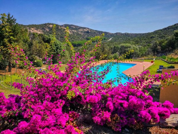 casa indipendente in vendita ad Arzachena