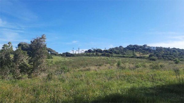 terreno agricolo in vendita ad Arzachena
