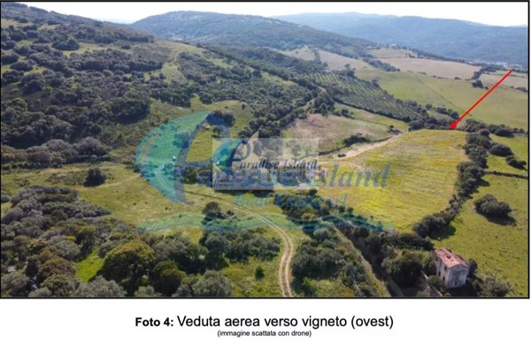 terreno agricolo in vendita ad Arzachena