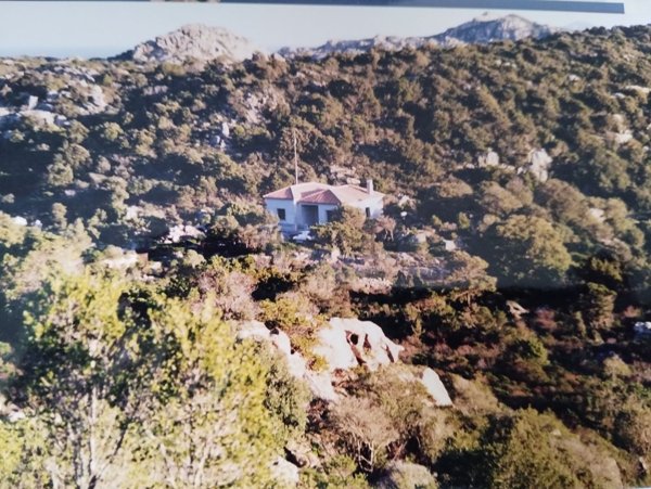 casa indipendente in vendita ad Arzachena