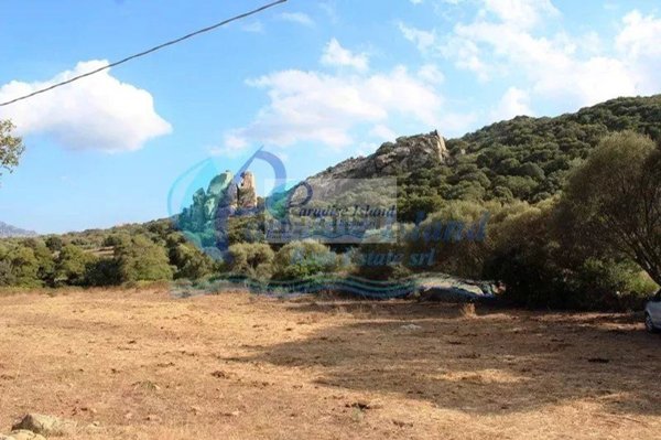 azienda agricola in vendita ad Arzachena