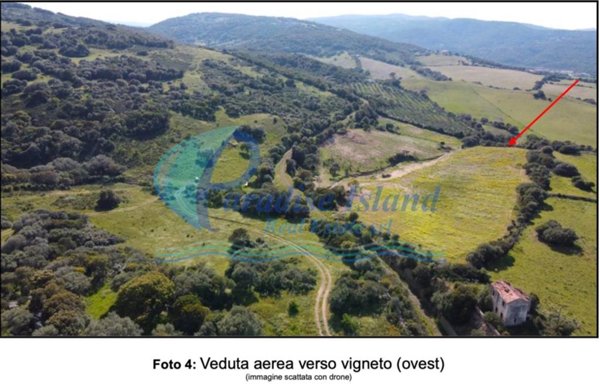 terreno agricolo in vendita ad Arzachena