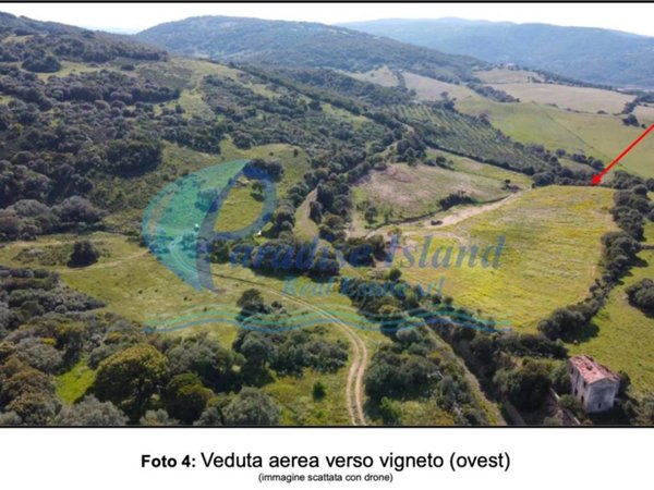 terreno agricolo in vendita ad Arzachena in zona Abbiadori