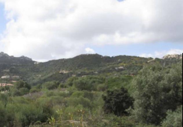 terreno agricolo in vendita ad Arzachena in zona Cannigione