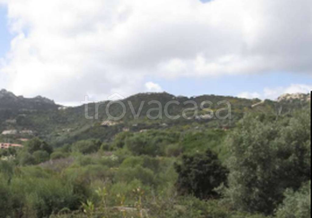 terreno agricolo in vendita ad Arzachena in zona Cannigione