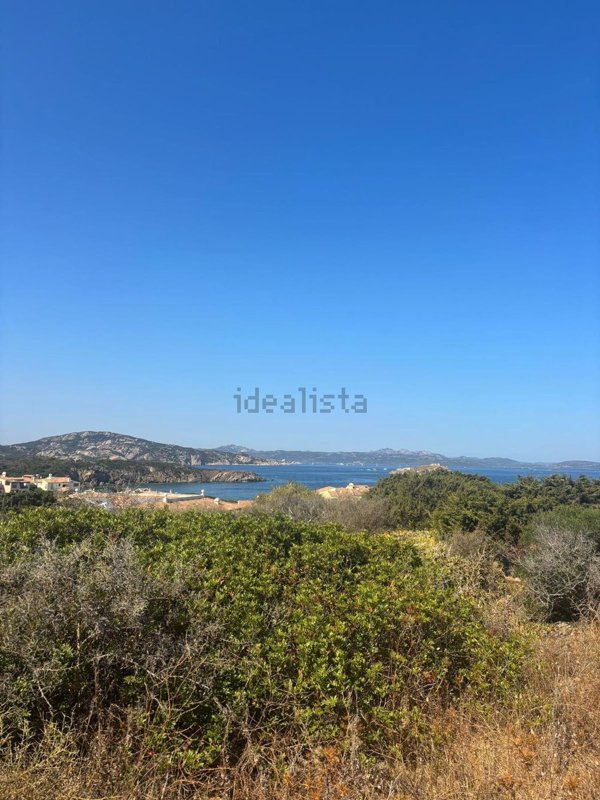 terreno agricolo in vendita ad Arzachena