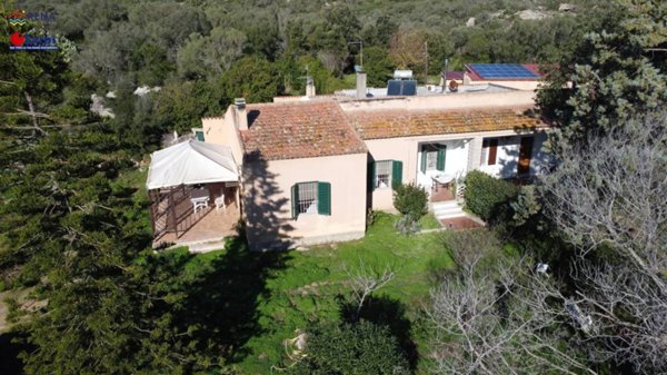 casa indipendente in vendita ad Arzachena