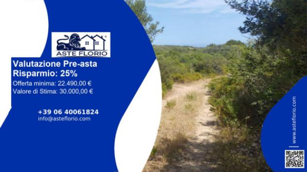 terreno agricolo in vendita ad Arzachena in zona Abbiadori