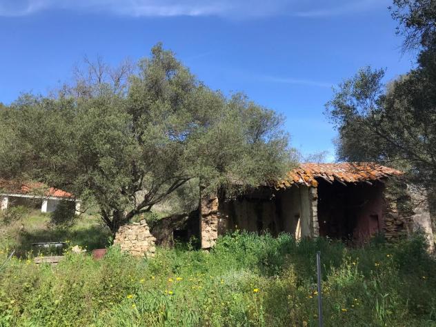 azienda agricola in vendita ad Arzachena in zona Cannigione