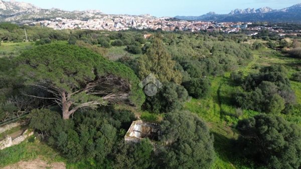 appartamento in vendita ad Arzachena