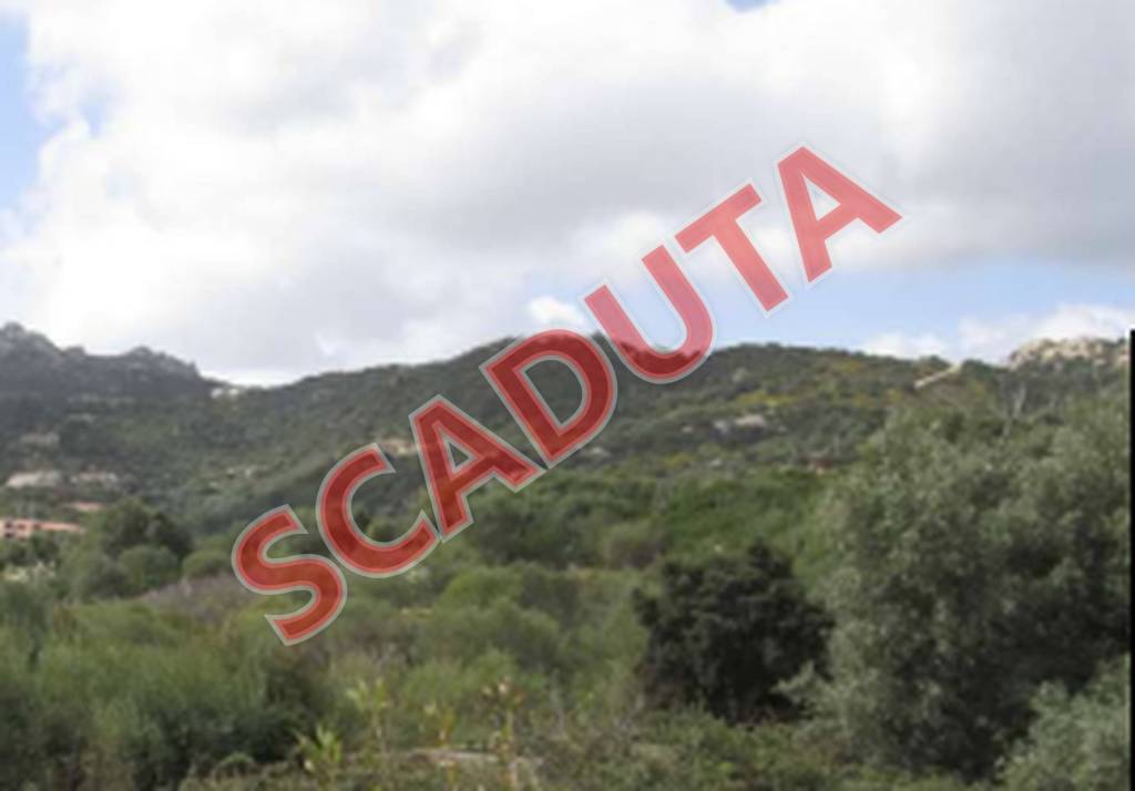 terreno agricolo in vendita ad Arzachena in zona Cannigione