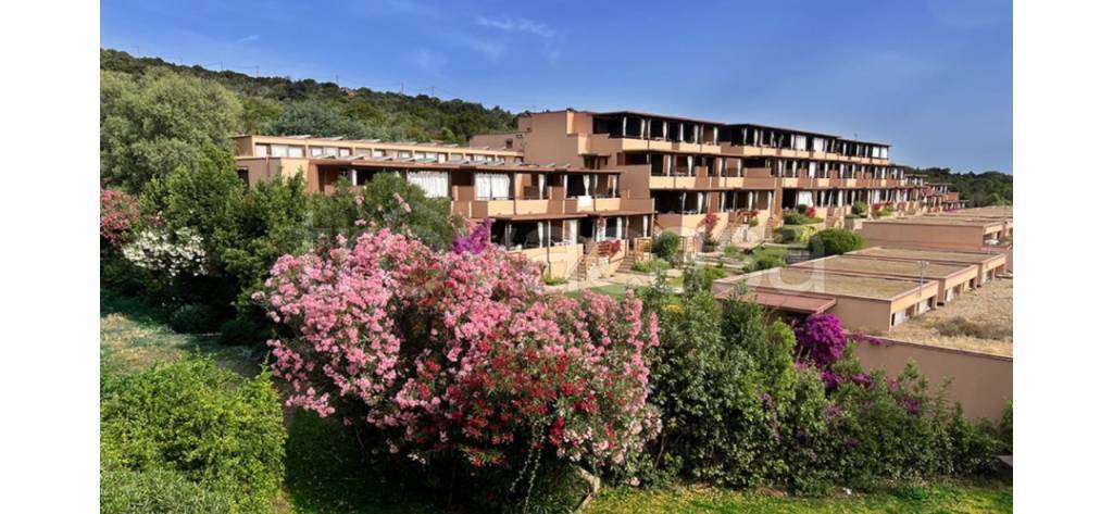 multiproprieta in vendita ad Arzachena