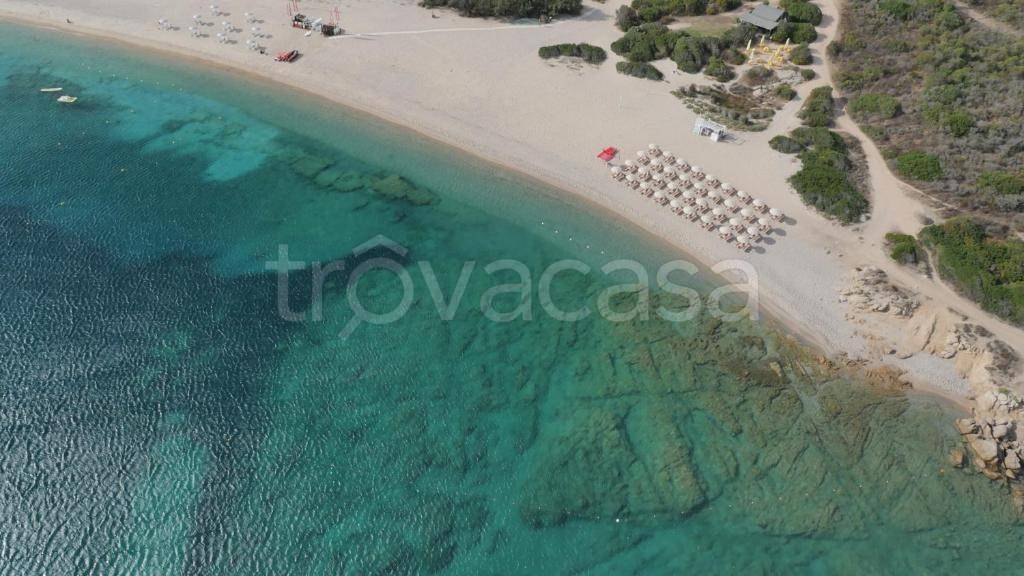multiproprieta in vendita ad Arzachena