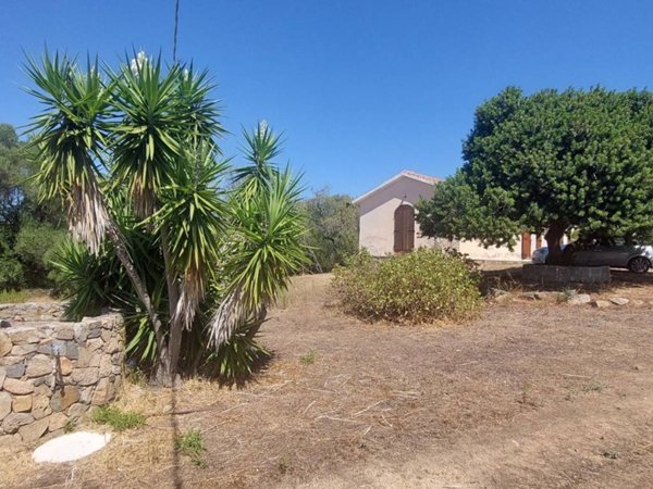 casa indipendente in vendita ad Arzachena