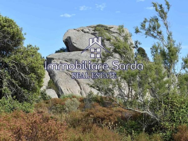 terreno agricolo in vendita ad Arzachena