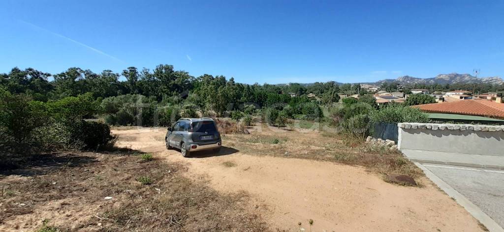terreno agricolo in vendita ad Arzachena
