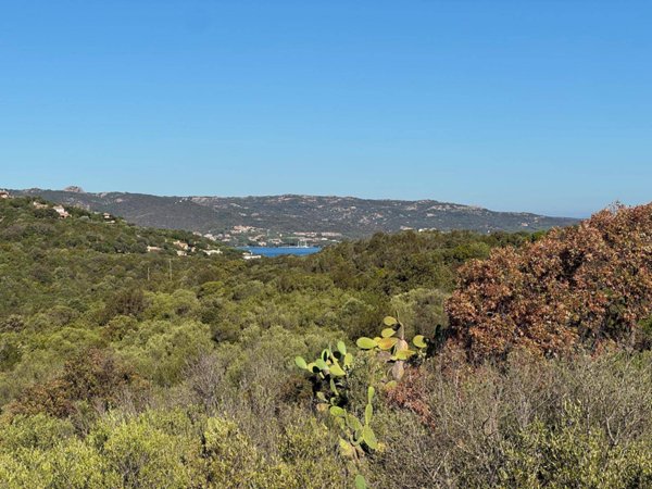 terreno agricolo in vendita ad Arzachena in zona Baja Sardinia