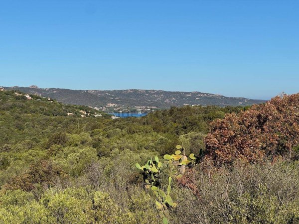 terreno in vendita ad Arzachena in zona Cannigione